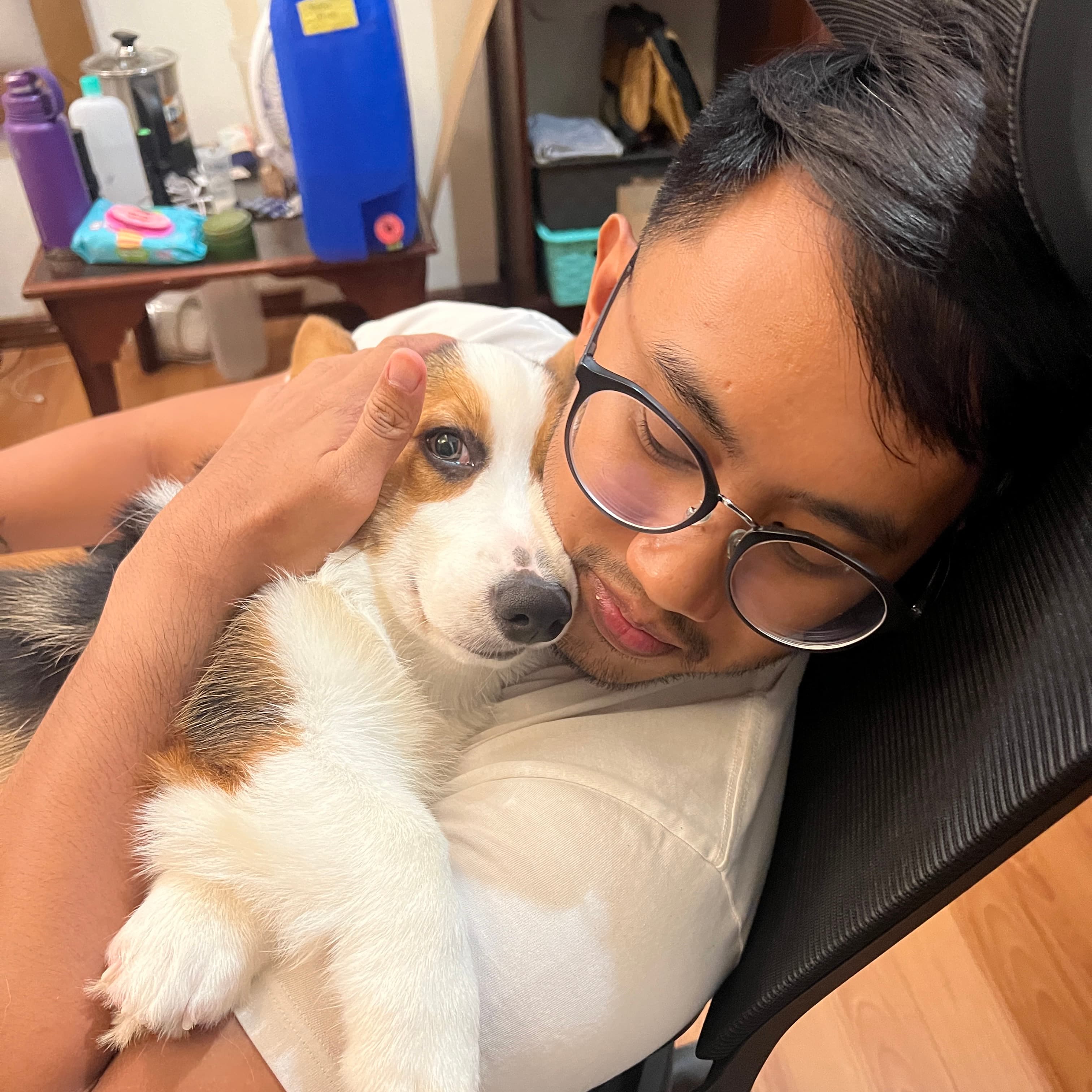 Founder and pets, photo 1